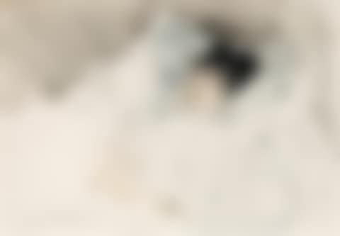 PORTRAIT DE FEMME COUCHÉE DANS SON LIT (preview)