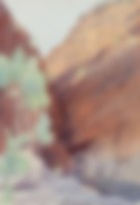 CENTRAL AUSTRALIAN GORGE AND ROCK POOL (preview)