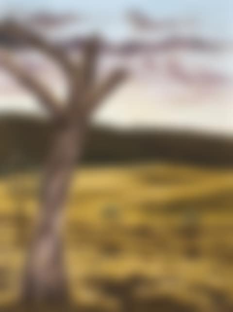 OLD TREE IN LANDSCAPE (preview)