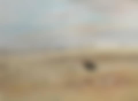 WIMMERA LANDSCAPE WITH HOMESTEAD AND RAM (preview)