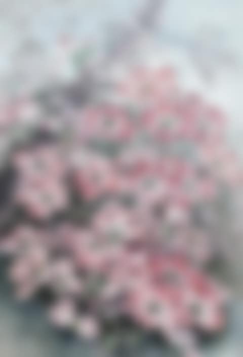 FLOWERING DOGWOOD (CÓRNUS FLÒRIDA) (preview)