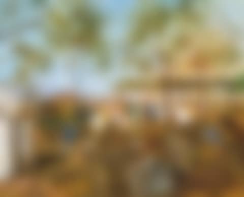 HOW THE FLIER WON THE CLONCURRY CUP, NORTH WEST QUEENSLAND (preview)