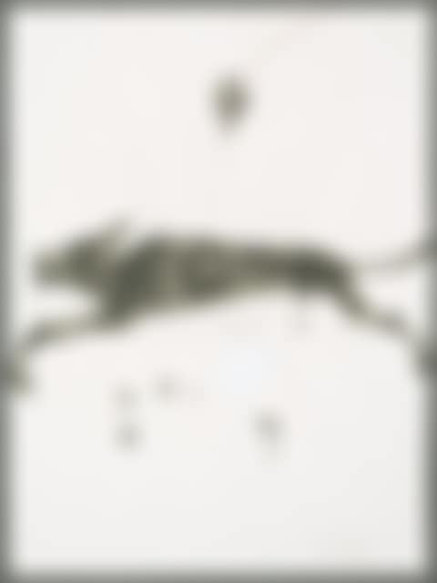 DOG AND HONEYEATER (preview)