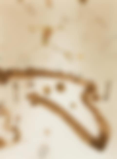 BIRD AND KANGAROO (preview)