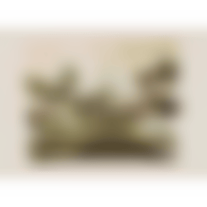 Untitled (Ågerup 185) (preview)