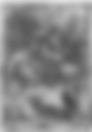 The Madonna and Child with St. Charles Borromeo (preview)