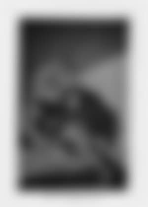 El Vergonzoso (preview)