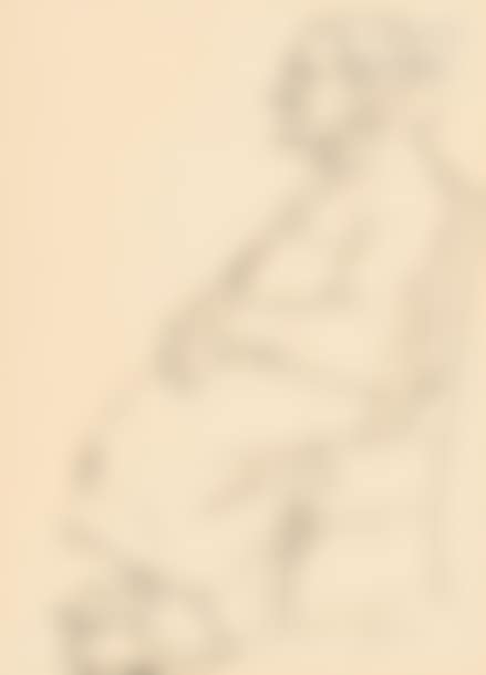 Portrait of the artist"s mother (preview)