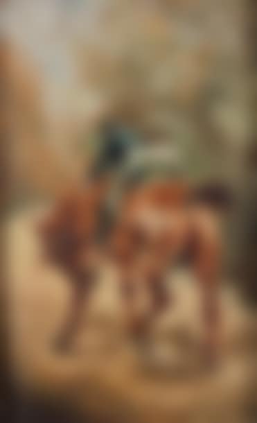 Young Rider Mounting his Horse (preview)