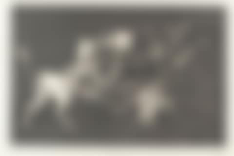 Lluvia de Toros. Additional plate to the series of Proverbs (preview)