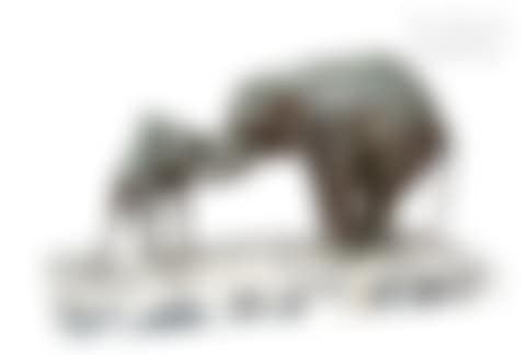 African elephant and young camel (preview)