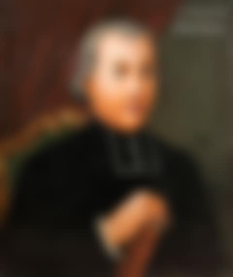 Portrait of a clergyman in black on a green velvet armchair (preview)