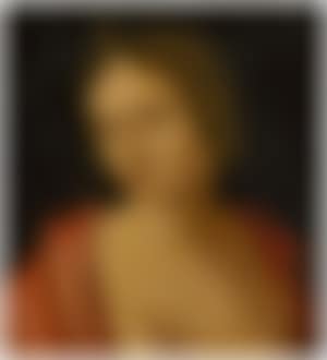 Portrait of a woman with braided hair (preview)
