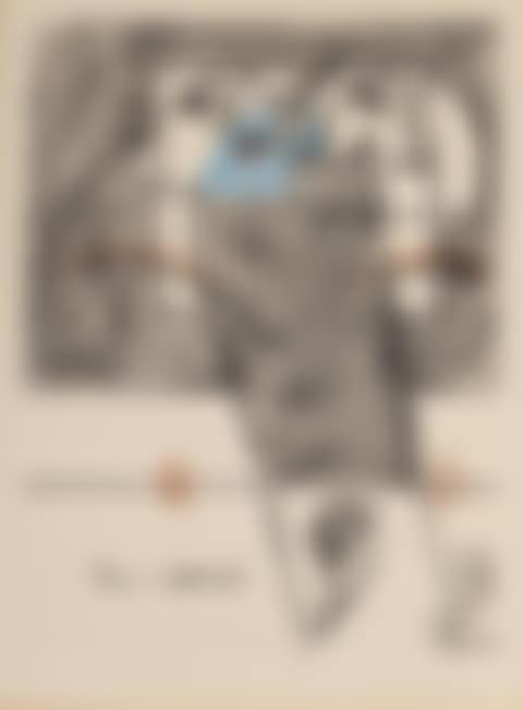 Les Oiseauxs (preview)