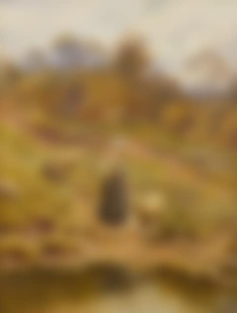 shepherdess (preview)