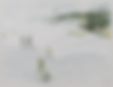 Skiing (preview)