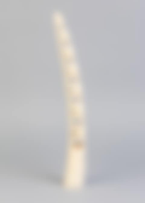 A carved African ivory elephant bridge (preview)