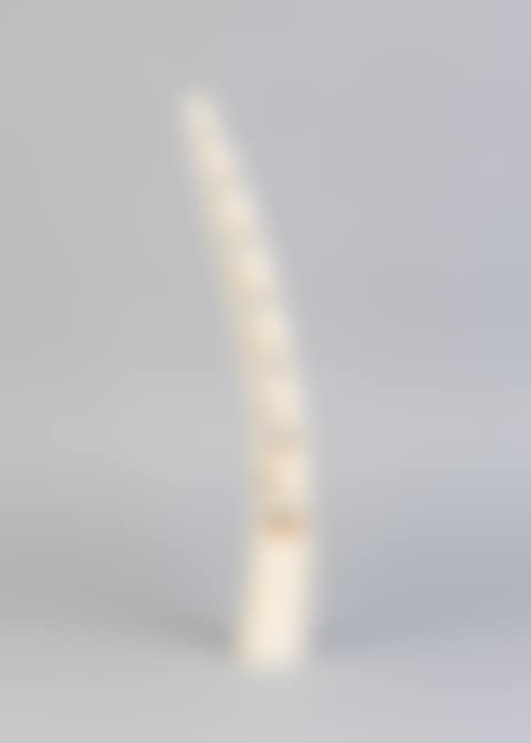 A carved African ivory elephant bridge (preview)