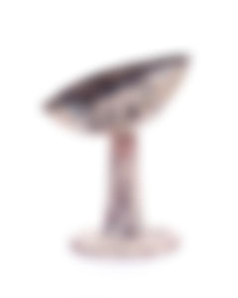 Coppa (preview)