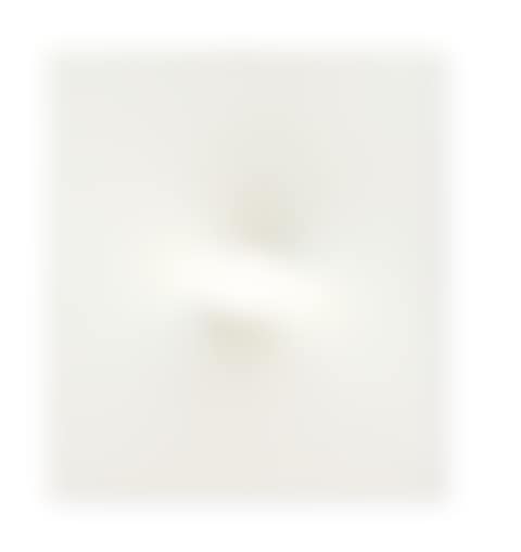 Un ovale bianco (preview)