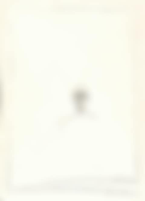 Buste homme II (preview)