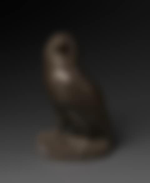 BATELEUR"S EAGLE (preview)