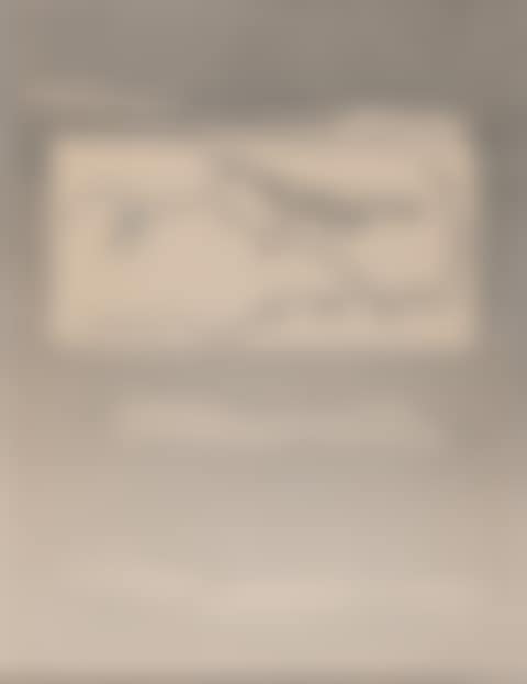 Liegendes Profil mit Schmetterling (preview)