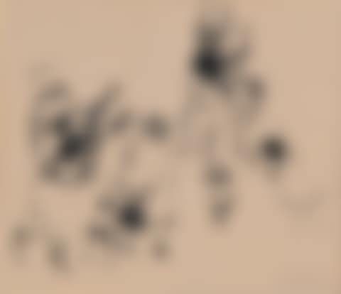 Untitled (preview)