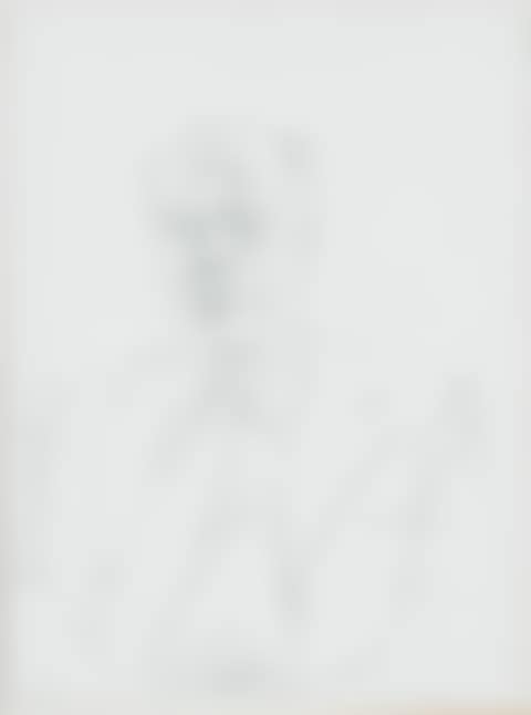 Bildnis Erwin Leiser (Portrait Erwin Leiser) (preview)