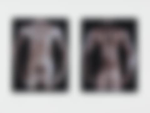 Untitled (For Peter Hujar) (preview)