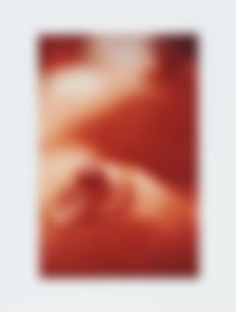 Nipple with Diamond, from "House without Walls" (preview)