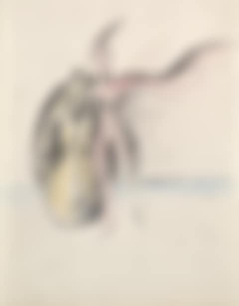 Licorne au corps de femme et main (preview)