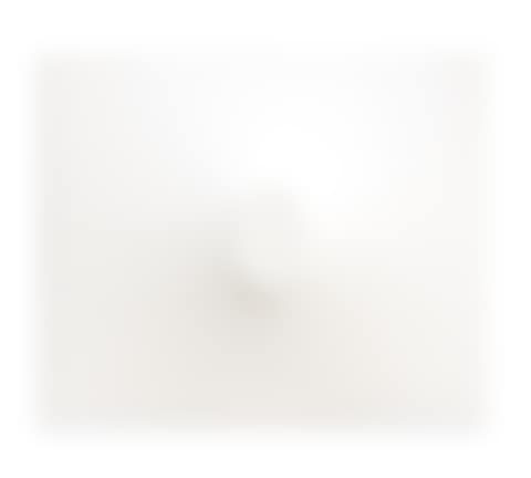 Un ovale bianco (preview)