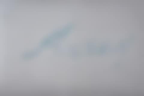 Anchovy (preview)