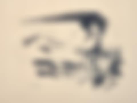 Pigeon et ses petits (preview)
