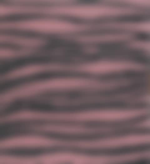 Diptych. Untitled (preview)