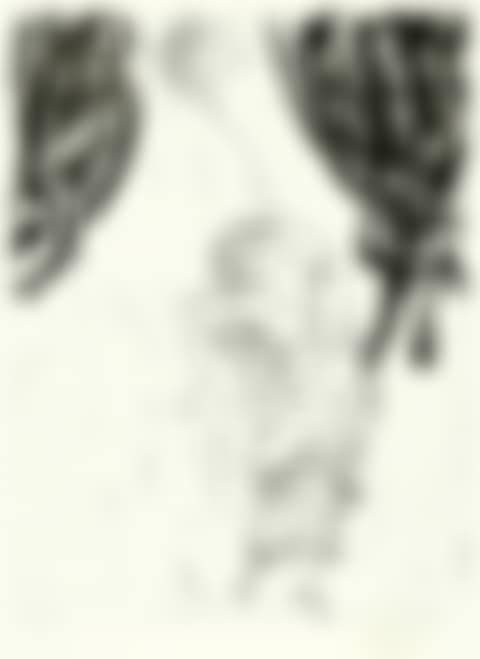 Victor, from "Schlafende Hunde" (preview)