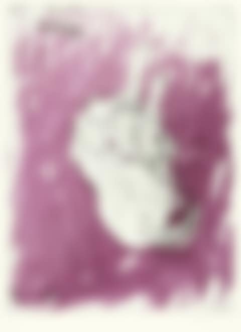 Quarto, from "Schlafende Hunde" (preview)