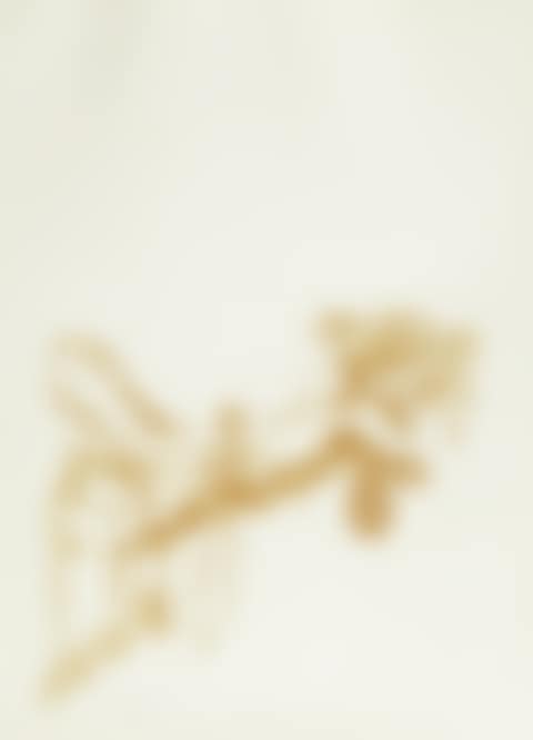 O.T. (Bienenkönigin) , from "Spur I" (preview)