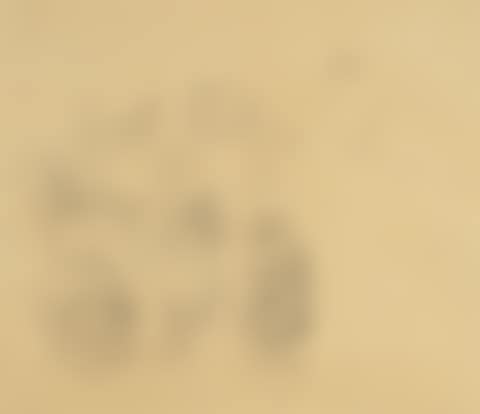 Study Sheet (preview)