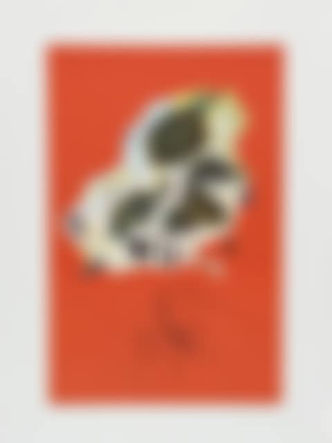Mûre sauvages (Flordali) (preview)