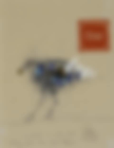 Oiseau (preview)