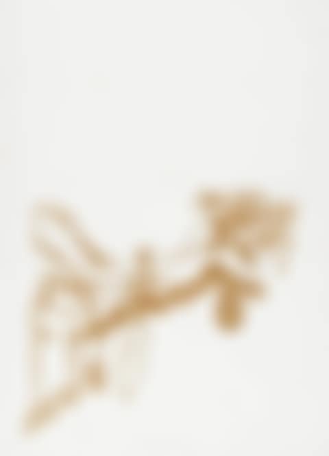 O. T. (Bienenkönigin) , from "Spur I" (preview)