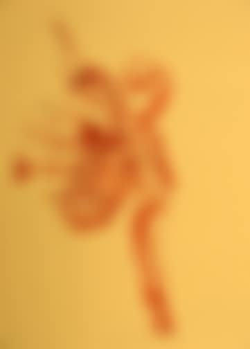 Untitled (Indianer mit Pfeilen beschossen) , from "Spur I" (preview)