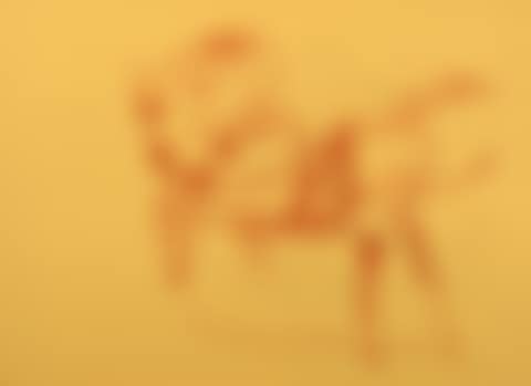 Untitled (Hirsch und Sonne) , from "Spur I" (preview)