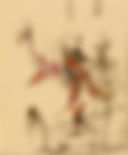 Caprice hieromortanus (preview)