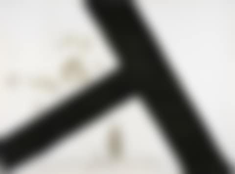 T inclinada (preview)