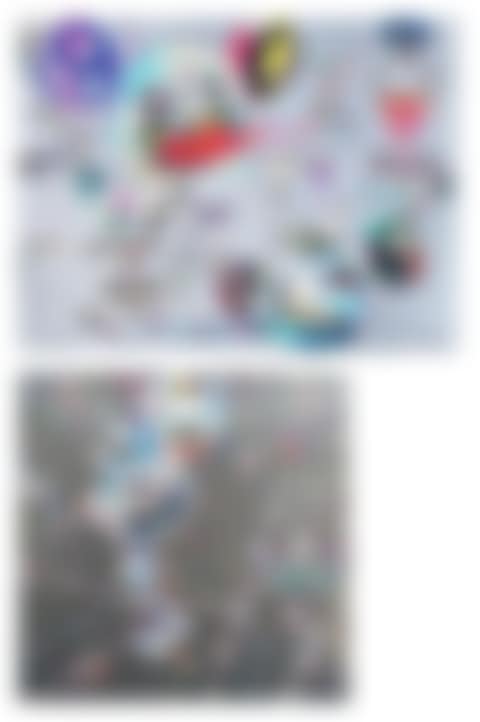 a.) DOB Myxomycete b.) Hands Clasped (preview)