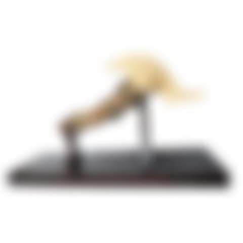 A massive Ivory-topped hilt of a ceremonial sword called Danganan Maranao (preview)