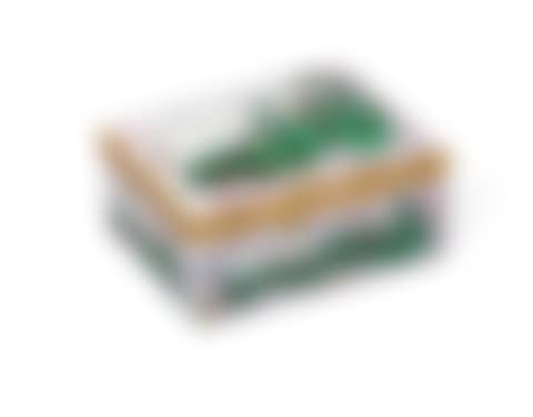 A GOLD-MOUNTED MEISSEN PORCELAIN RECTANGULAR SNUFF-BOX AND COVER (preview)